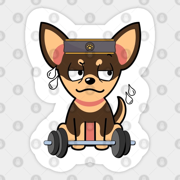 Cute small dog is exercising Sticker by Pet Station